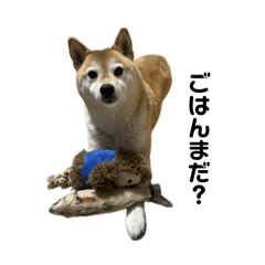 haru_20250329010433