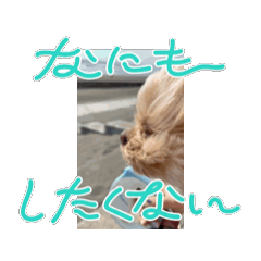 Sato_20250329124531
