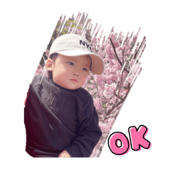 yuki_20250328212603