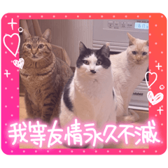Otani family123