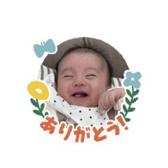 wakana_20250329024146