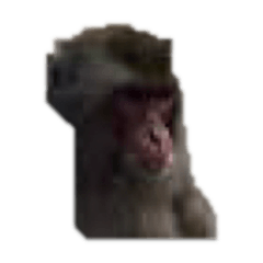 s.a.r.u&nbsp; &nbsp;&nbsp; &nbsp;&nbsp; &nbsp;&nbsp; &nbsp;&nbsp; &nbsp; 8101919