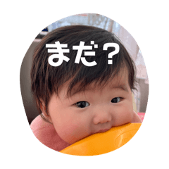 RAN_20250329085829
