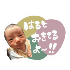 Haruto okikunaruyo!