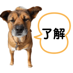 nagi_20250329112138