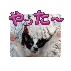 naka_20250329131438
