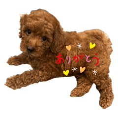 mayu_20250328163504