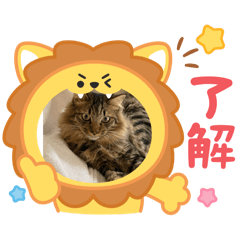 natsuko_20250328173740