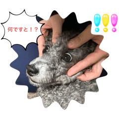 takashi_20250328220255