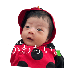 nagi_20250328221141