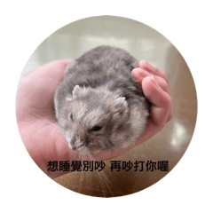 五福大美女