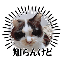 Misaki_20250329192948