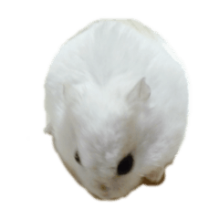 t_20250328232400