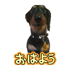 mio_20250329161135