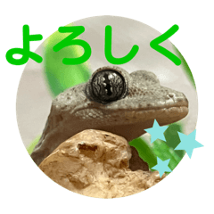 Hikaru_20250329134151