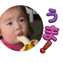 ema_20250329160520