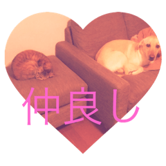 masaki_20250329171350