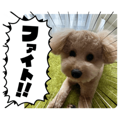 kiyo_20250329161510