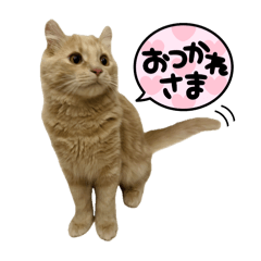 mochi_20250329211428
