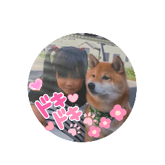 nono_20250329144053