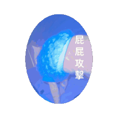 貓貓貓咪咪咪咪