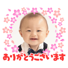 maki_20250329164726
