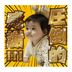 Ys_20250329165750