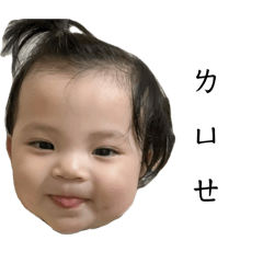 堅果寶寶lll