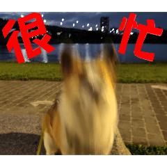 流量密碼sake - 多角化經營2...