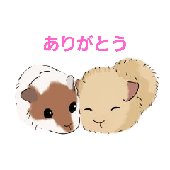 momo_20250329211733