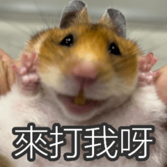 alu happy land - be angry