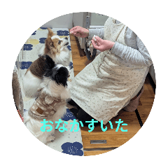 naka_20250329221448