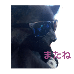 megu_20250330001442