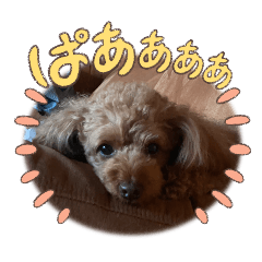 yume_20250329221311