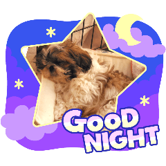 chacha_20250330002200