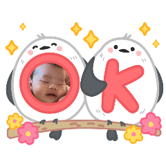 pipi_20250330003500