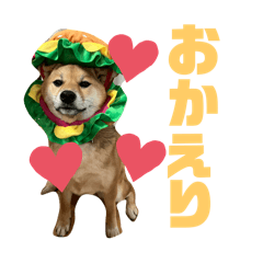 ryo_20250329190002