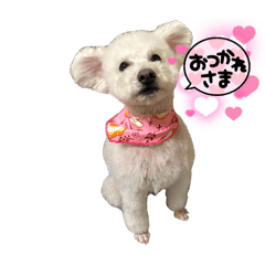 KOTETSU_20250330043026