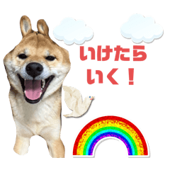 ryo_20250330071636