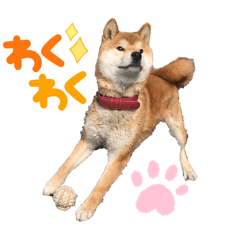 makiko_20250329170719