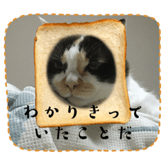 Misaki_20250329221351
