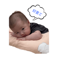 卡哇伊1