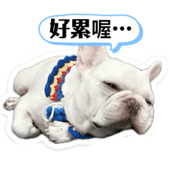 生活話家常2