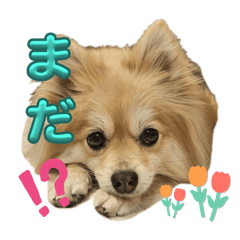 mari_20250329223218
