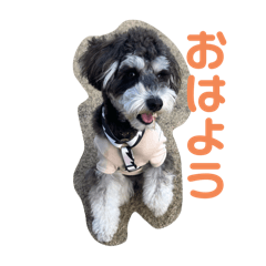 hana_20250329223238