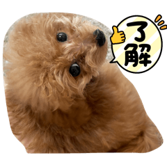 haru_20250329223250