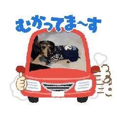 KOMUGI_20250330132230