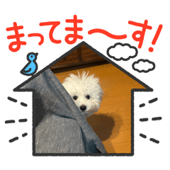 しらみずの生活