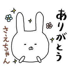 Saechan rabbit