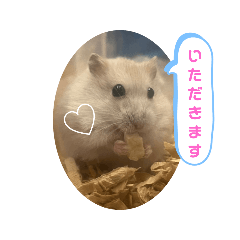yuua_20250330012317